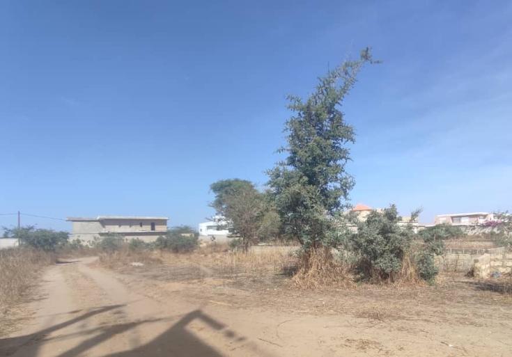 Image annonce vtsa24